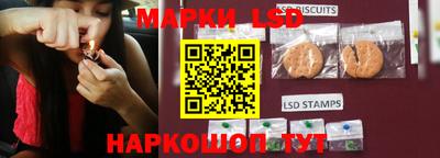 соль ск Моздок
