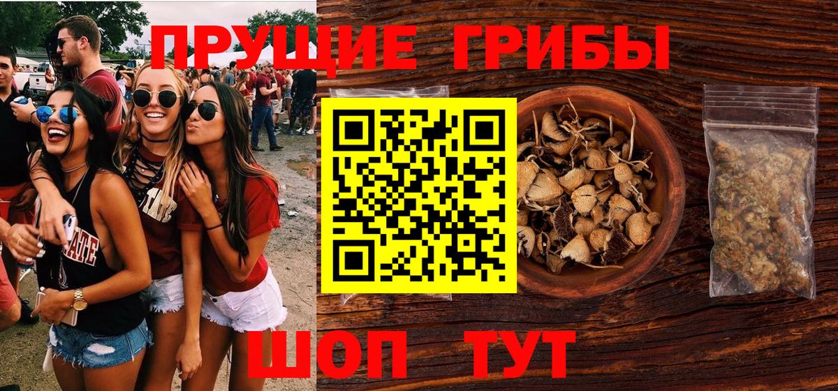 Галлюциногенные грибы Psilocybe Великие Луки